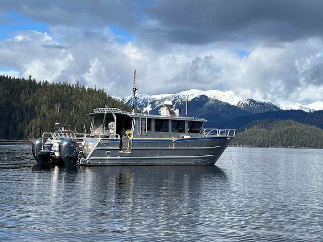 catamaran boat alaska