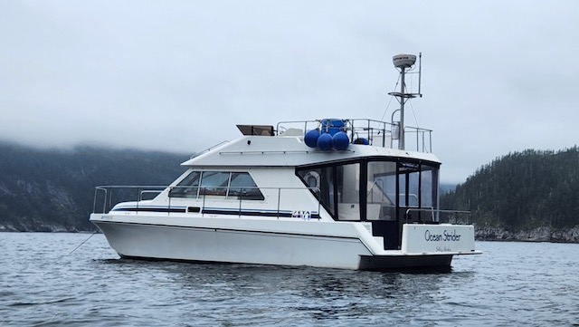 32' x 14' Zeta Catamaran. $50K in recent maintenance Twin 200 HP 41P Volvo Diesel Outdrive. Heat, Inverter.